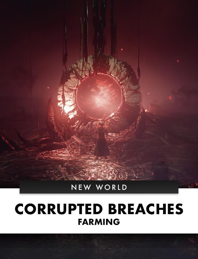 NEW WORLD CORRUPTED BREACHES