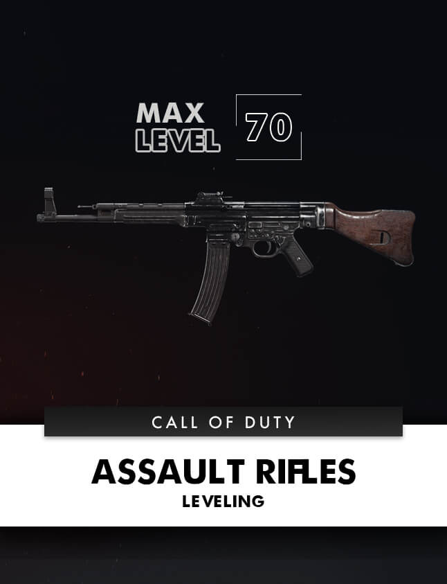 ASSAULT RIFLES LEVELING